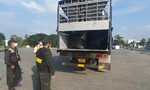 Phát hiện xe tải chở 19 tấn hoá chất không rõ nguồn gốc