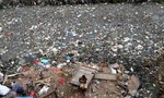 Ấn Độ cấm đồ nhựa sử dụng một lần để chống ô nhiễm ở mức báo động
