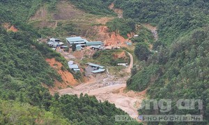 Quảng Nam: Yêu cầu 2 DN vi phạm dừng hoạt động 3 mỏ vàng “khủng”